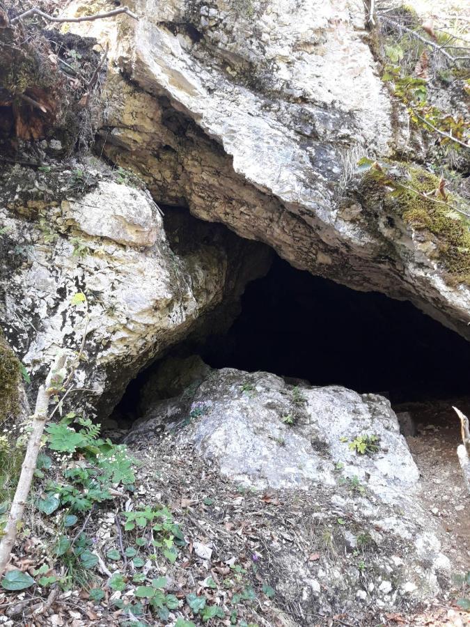 Studio Alpika Βίλα Luče Εξωτερικό φωτογραφία